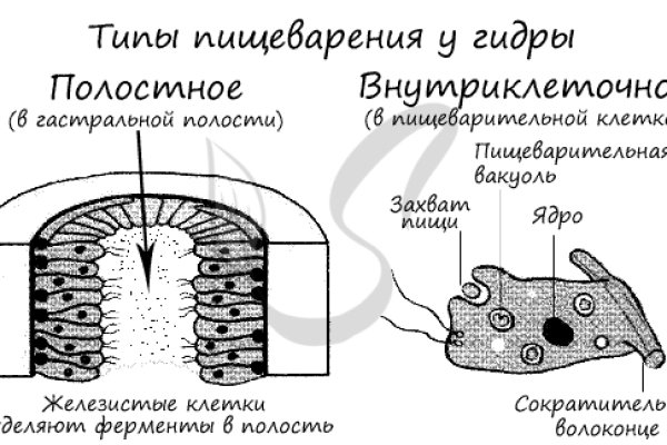Kra39.at Вход на сайт главная страница