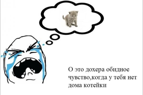 Даркнет ссылка