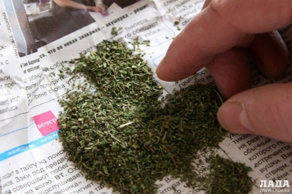 Кракен маркетплейс работает