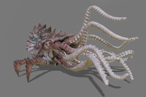Ссылка кракен kraken torion net
