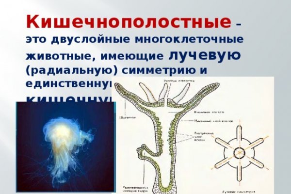 Кракен марке