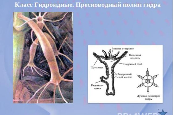 Kra39.cc Вход на сайт главная страница