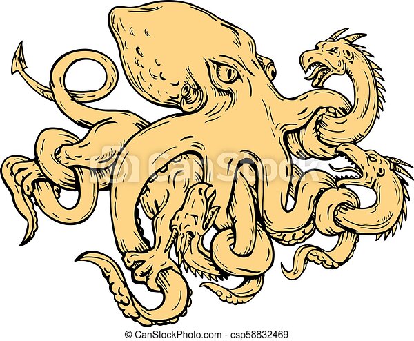 Kraken 25 at